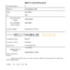 Authentic Barbados Birth Certificate Template | Customize and Download Online
