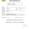 Authentic Barbados Birth Certificate Template | Customize and Download Online
