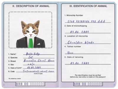 Barbados cat Fake PSD Passport | Instant Download