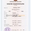 Authentic Belarus Birth Certificate Template | Customize and Download Online