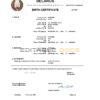 Authentic Belarus Birth Certificate Template | Customize and Download Online