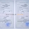 Customizable Belarus Death Certificate PSD Templates | Instant Download