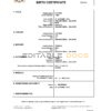 Authentic Belgium Birth Certificate Template | Customize and Download Online