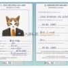 Belgium cat Fake PSD Passport | Instant Download