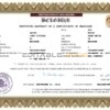 Belgium Marriage Certificate | Editable PDF Templates