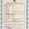 Customizable Belgium Death Certificate PSD Templates | Instant Download