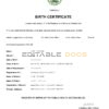 Authentic Belize Birth Certificate Template | Customize and Download Online