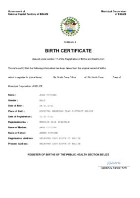 Authentic Belize Birth Certificate Template Customize and Download Online