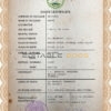 Customizable Belize Death Certificate PSD Templates | Instant Download
