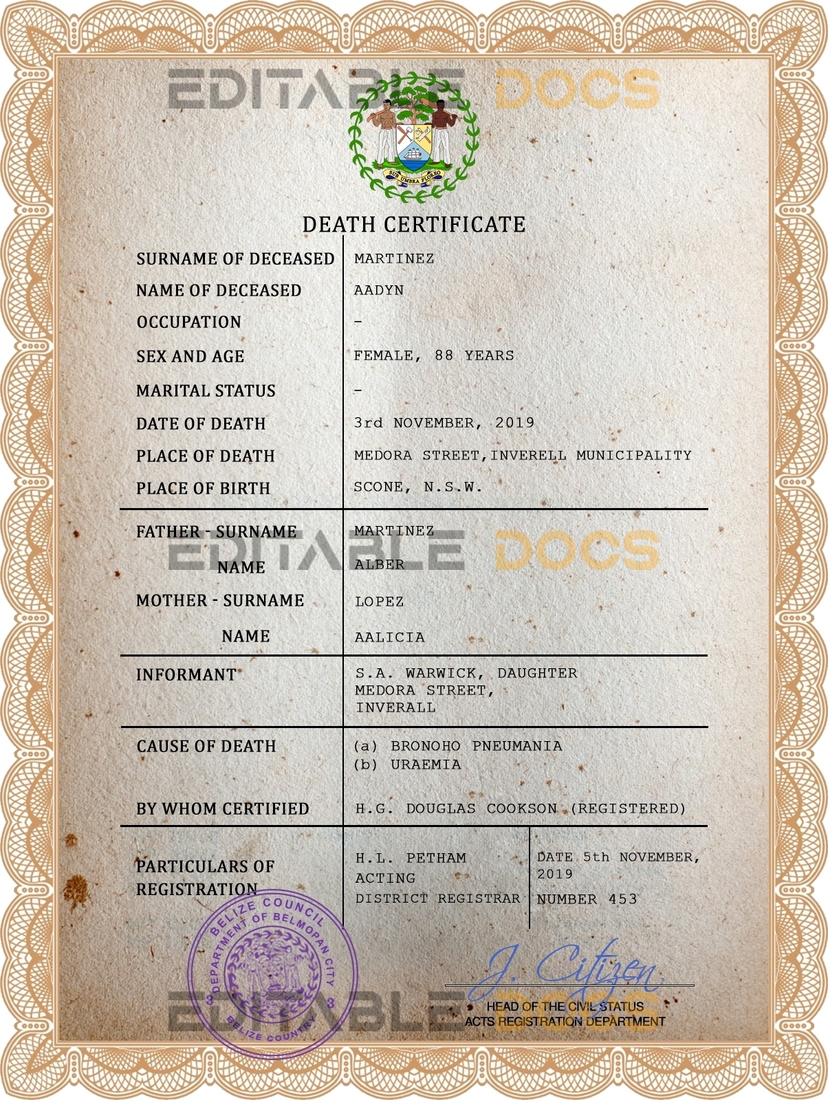 Customizable Belize Death Certificate PSD Templates | Instant Download