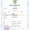 Authentic Belize Birth Certificate Template | Customize and Download Online