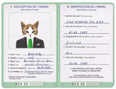Benin cat Fake PSD Passport | Instant Download