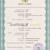 Authentic Benin Birth Certificate Template | Customize and Download Online
