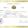 Bolivia Marriage Certificate | Editable PDF Templates