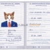 Bolivia cat Fake PSD Passport | Instant Download