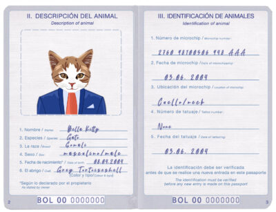 Bolivia cat Fake PSD Passport | Instant Download