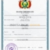 Customizable Bolivia Death Certificate PSD Templates | Instant Download