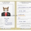 Bosnia and Herzegovina cat Fake PSD Passport | Instant Download