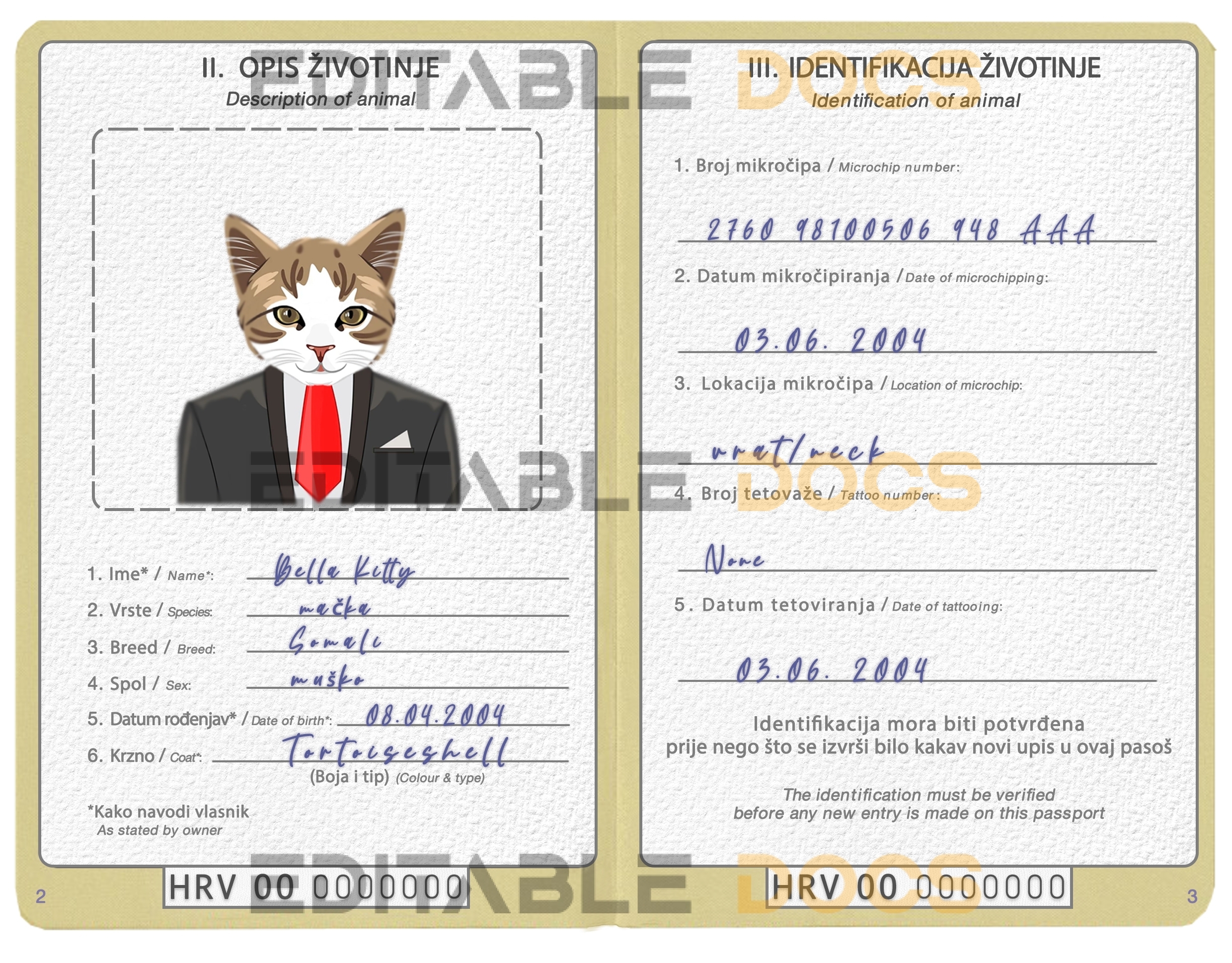 Bosnia and Herzegovina cat Fake PSD Passport | Instant Download