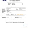 Authentic Botswana Birth Certificate Template | Customize and Download Online