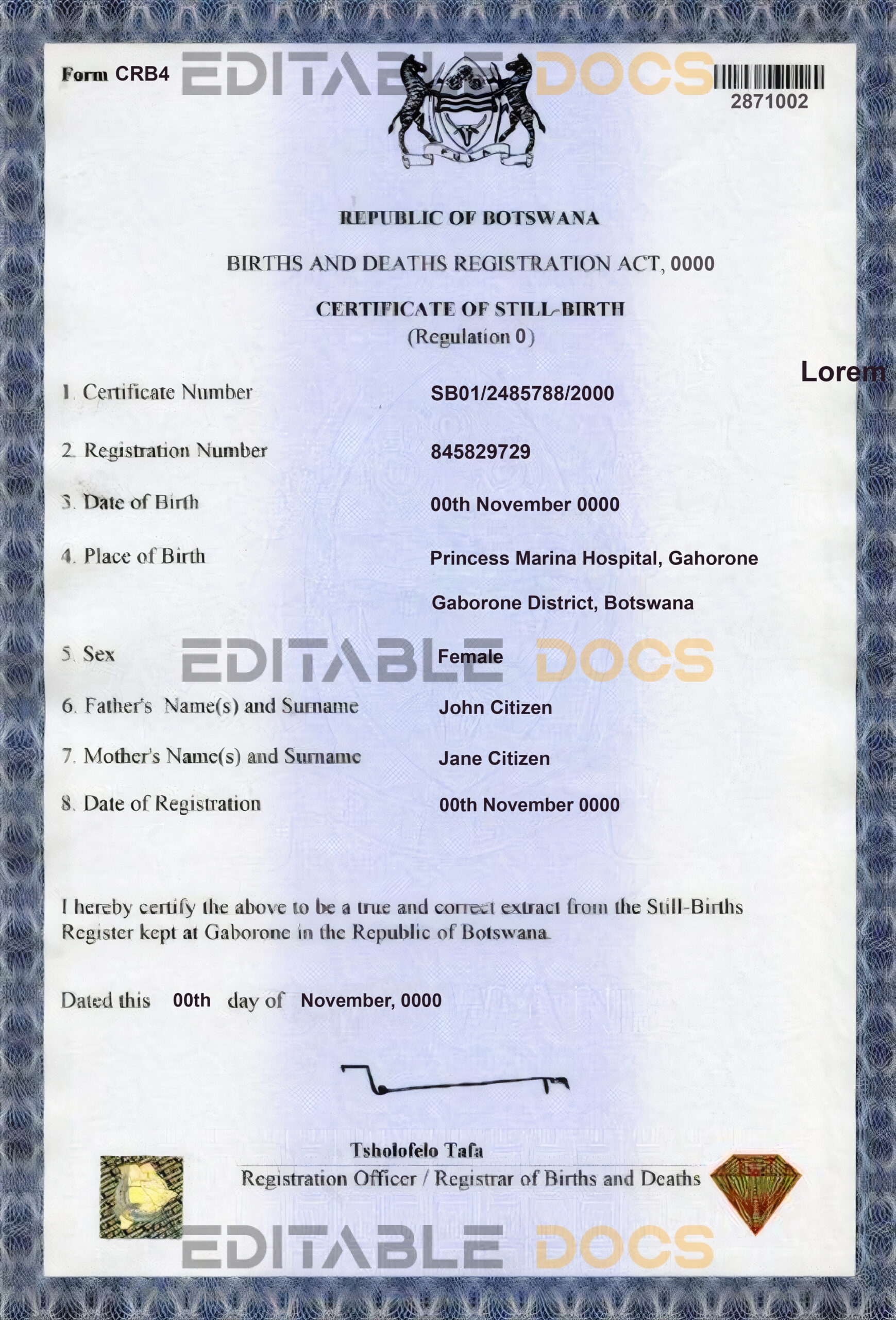 Authentic Botswana Birth Certificate Template | Customize and Download Online