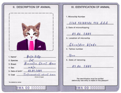 Botswana cat Fake PSD Passport | Instant Download