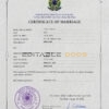 Brazil Marriage Certificate | Editable PSD Templates