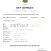 Authentic Brazil Birth Certificate Template | Customize and Download Online