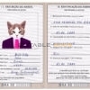 Brazil cat Fake PSD Passport | Instant Download