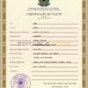Customizable Brazil Death Certificate PSD Templates | Instant Download
