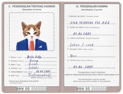 Brunei cat Fake PSD Passport | Instant Download