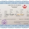 Authentic Brunei Birth Certificate Template | Customize and Download Online