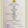 Bulgaria Marriage Certificate | Editable PSD Templates