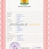 Authentic Bulgaria Birth Certificate Template | Customize and Download Online