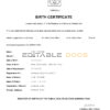 Authentic Burkina Faso Birth Certificate Template | Customize and Download Online
