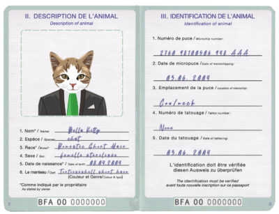 Burkina Faso cat Fake PSD Passport | Instant Download