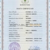 Customizable Burkina Faso Death Certificate PSD Templates | Instant Download