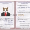 Burundi cat Fake PSD Passport | Instant Download