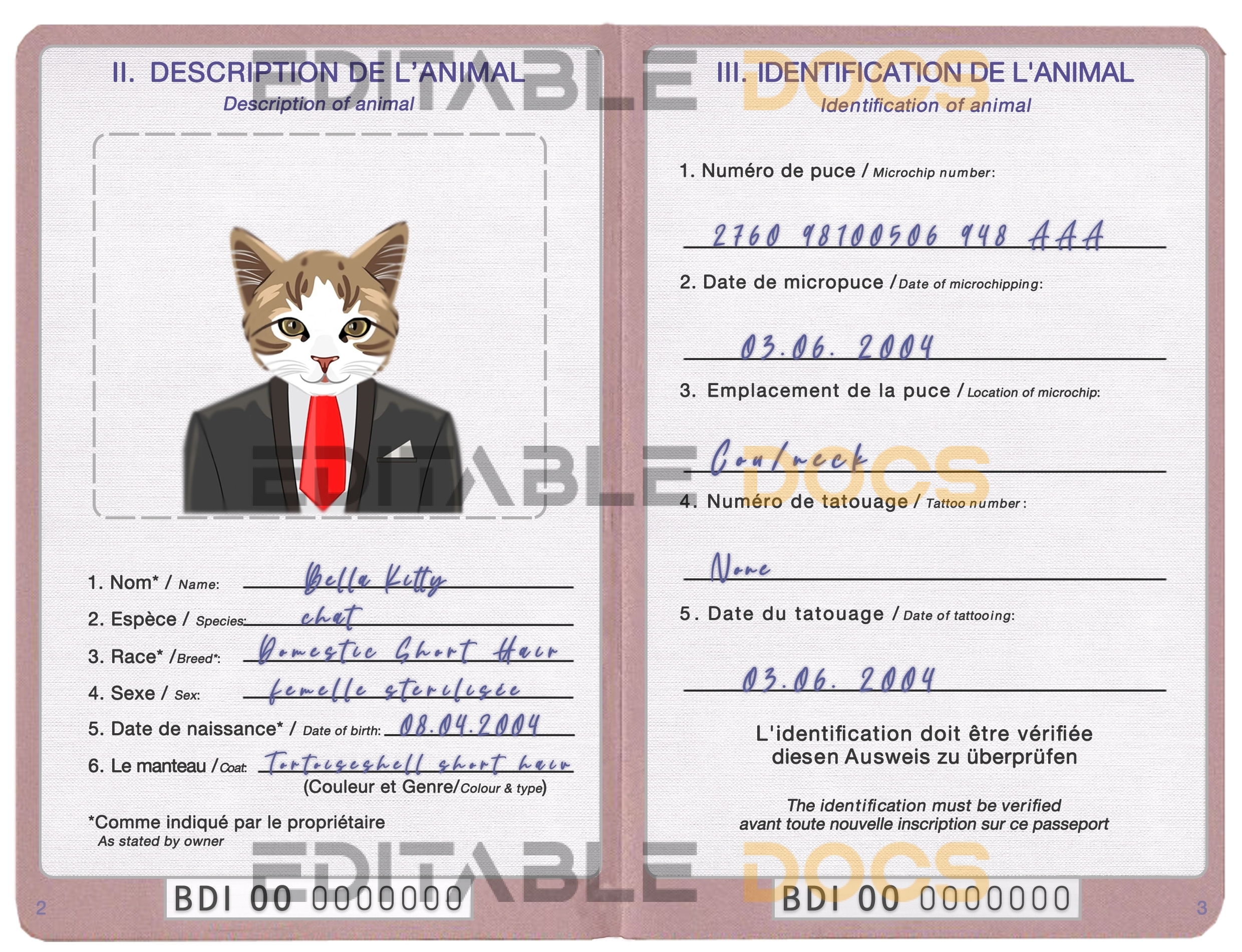 Burundi cat Fake PSD Passport | Instant Download