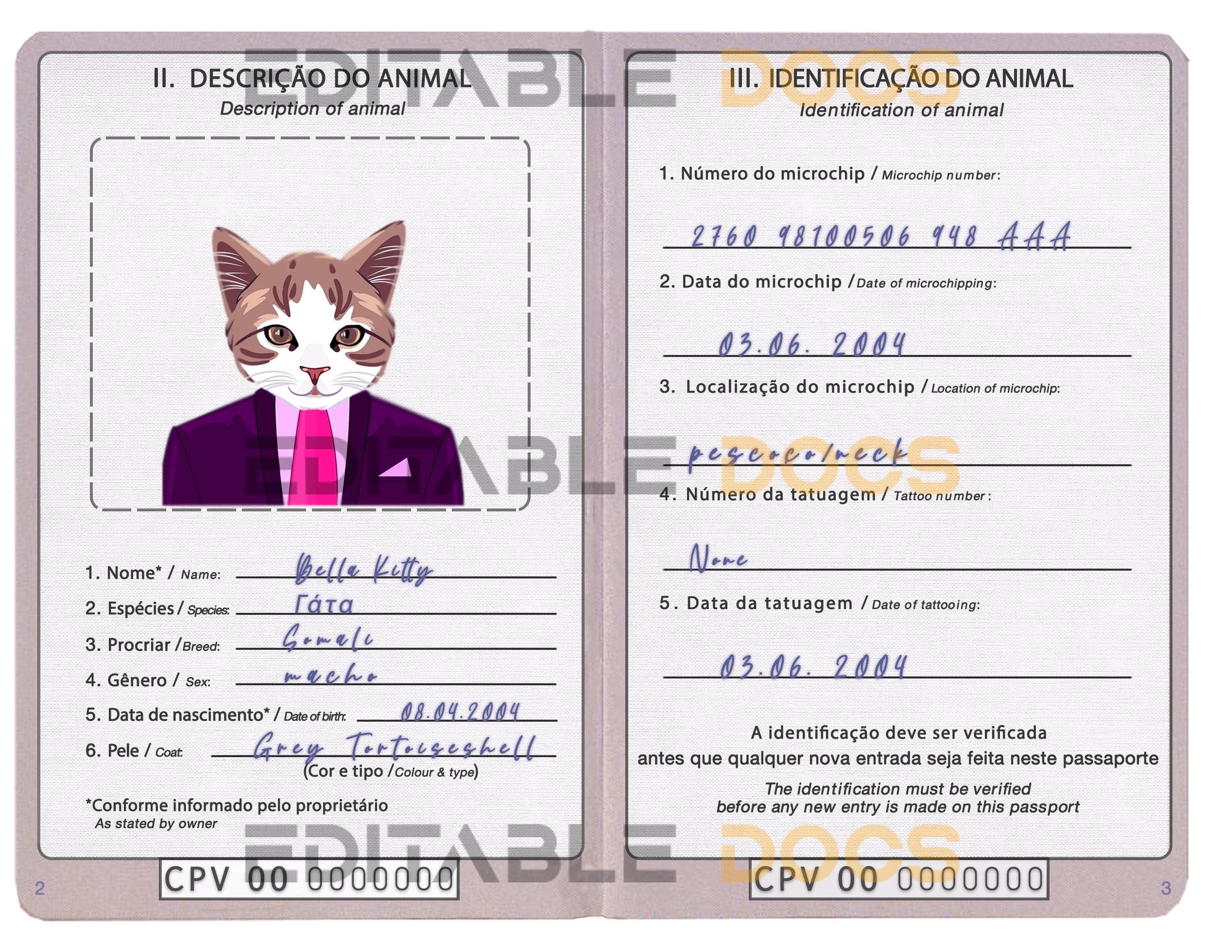 Cabo Verde cat Fake PSD Passport | Instant Download