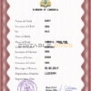 Authentic Cambodia Birth Certificate Template | Customize and Download Online