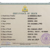 Customizable Cambodia Death Certificate PSD Templates | Instant Download