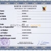 Authentic Cameroon Birth Certificate Template | Customize and Download Online