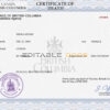 Customizable Canada Death Certificate PSD Templates | Instant Download