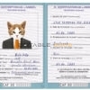 Central African Republic cat Fake PSD Passport | Instant Download