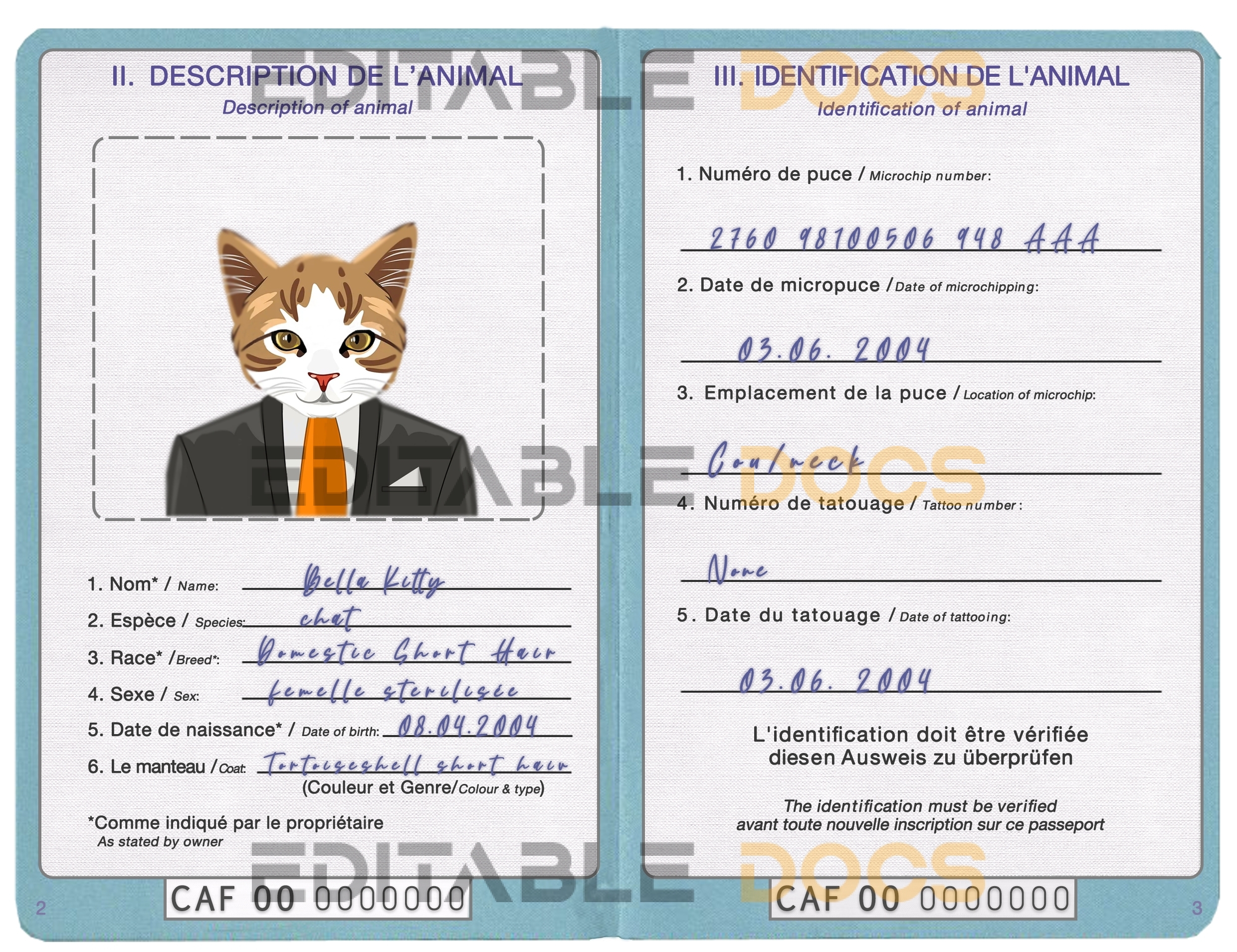 Central African Republic cat Fake PSD Passport | Instant Download
