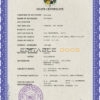 Customizable Central African Republic Death Certificate PSD Templates | Instant Download
