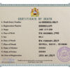 Customizable Certificate Dominate Universal Death Certificate PSD Templates | Instant Download
