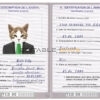 Chad cat Fake PSD Passport | Instant Download