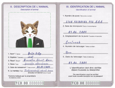 Chad cat Fake PSD Passport | Instant Download